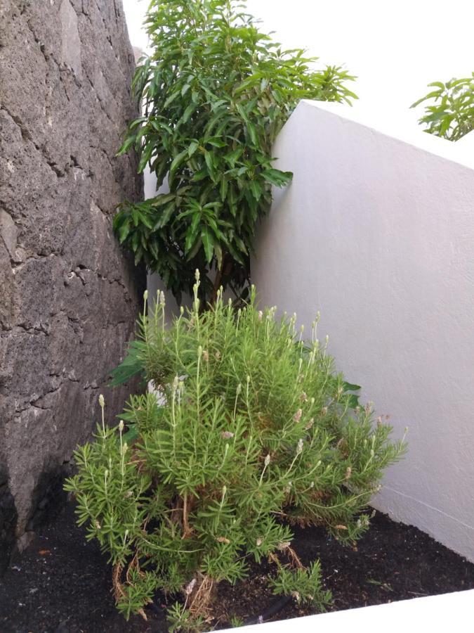 Villa Lanzarote Puerto Calero Dış mekan fotoğraf